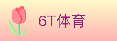 6T体育 logo